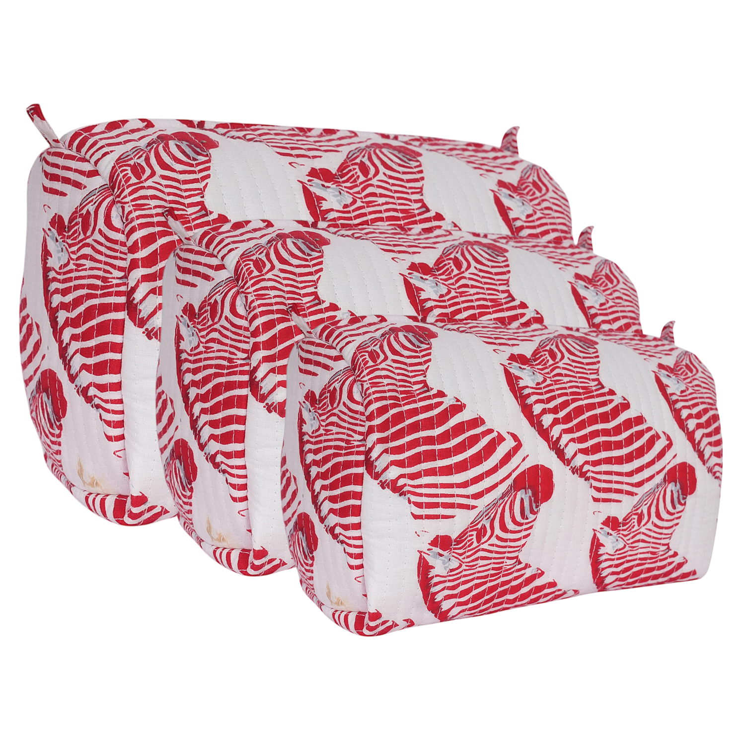 The Zebra Travel Set