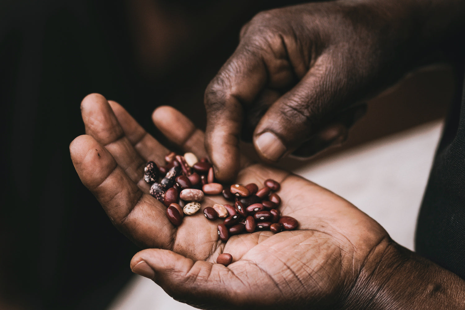 Hand with coffee beans in it